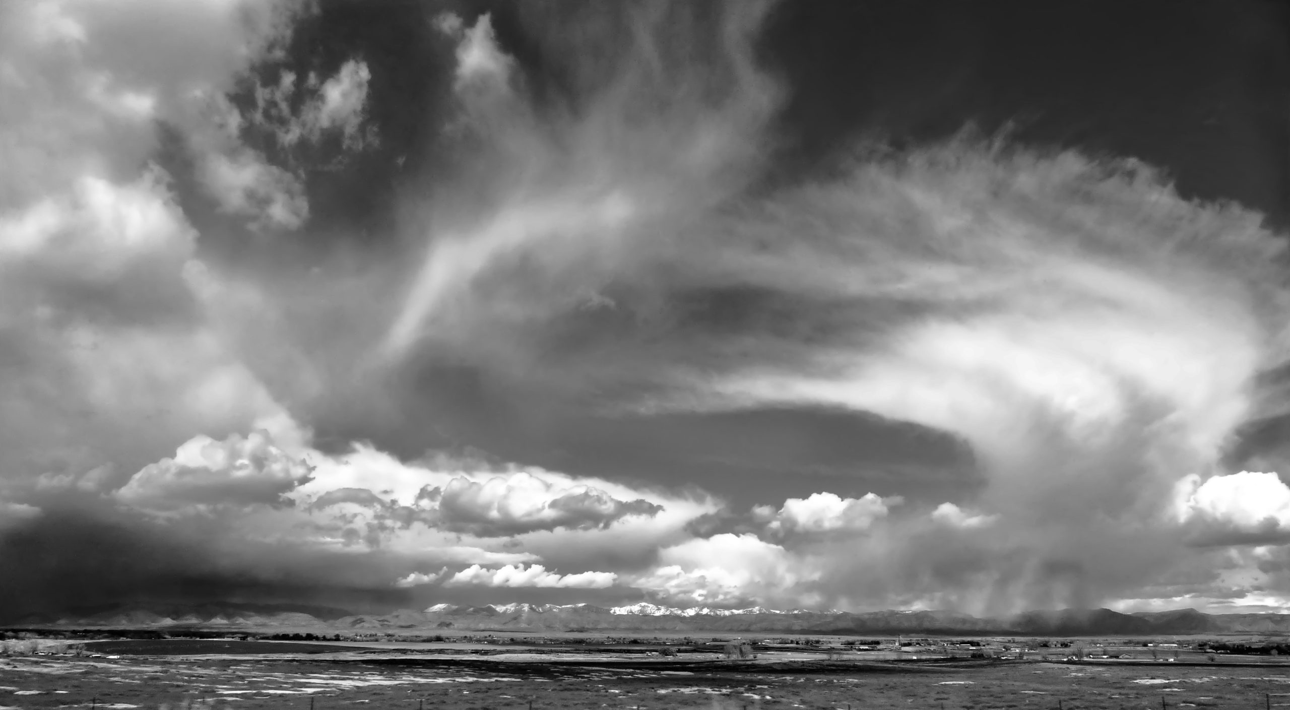 Hans Schmitt - Springs and Seasons -HEADROOM